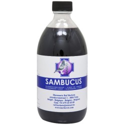 Sambucus