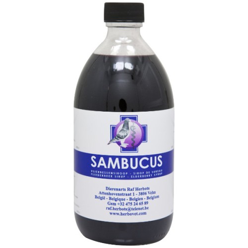 Sambucus